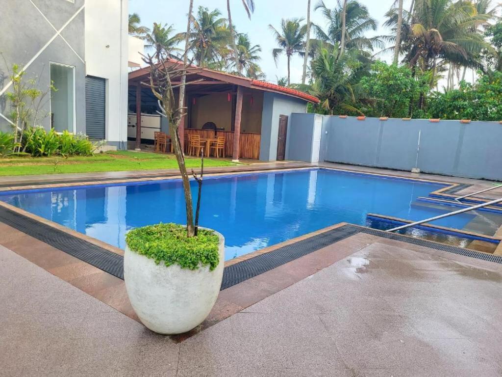 Canela Villa And Resort アハンガマ エクステリア 写真